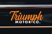 Brushmore | Classic Script, a Script Font by StudioWorks (Thumbnail 8 of 10)