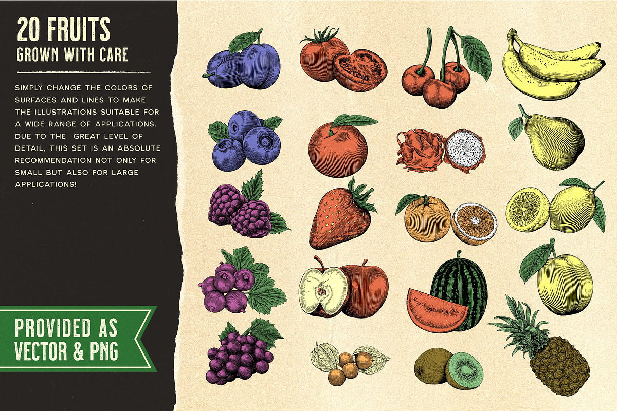 Fruits and Vegetables Illustrations, an Illustration by Heritage Type Co. (Photo 3 of 8)