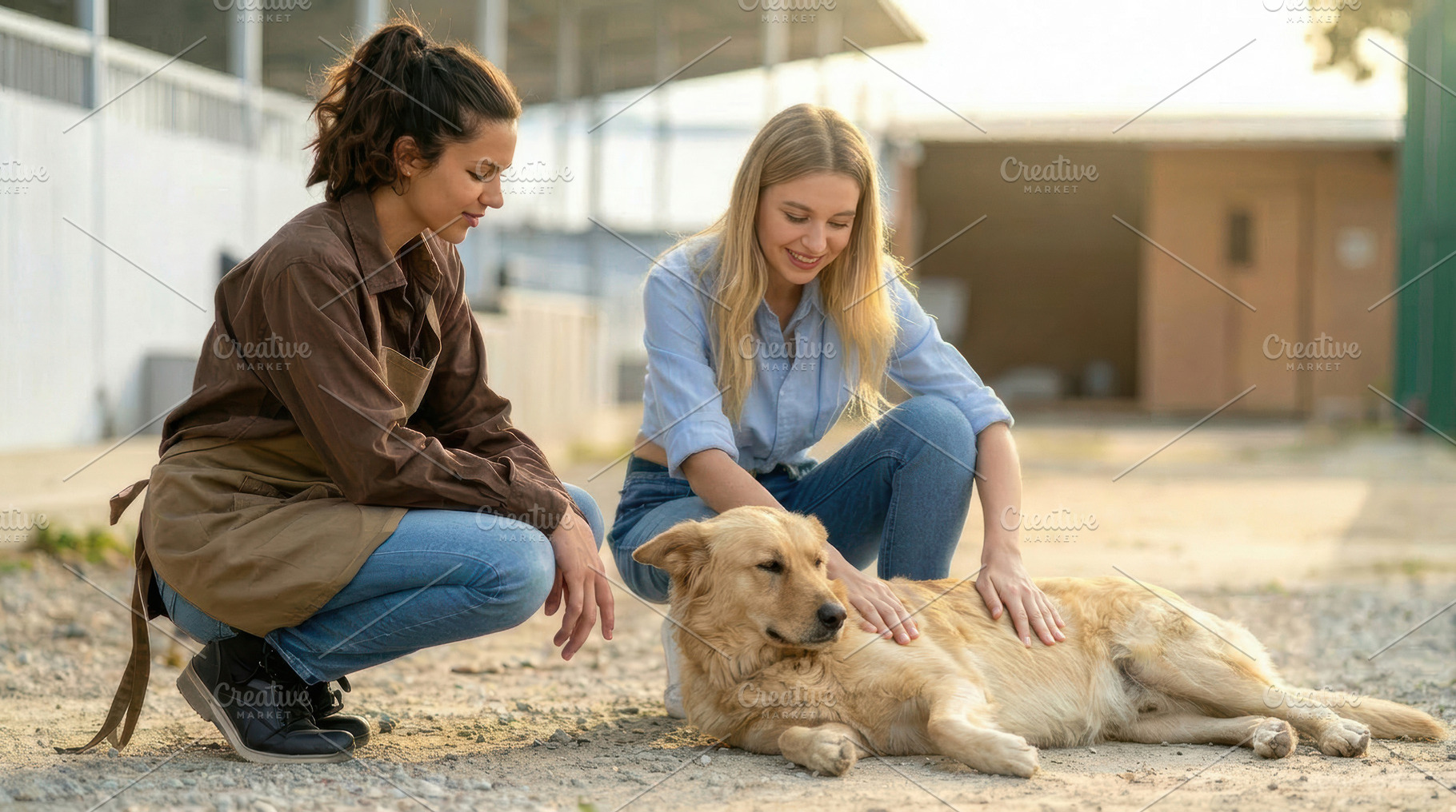 Woman Adopting Dog at Shelter, an Animal Photo by Davizro's Market