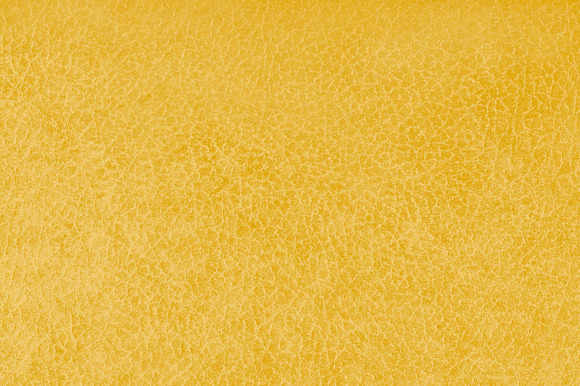 Golden Leather preview 2