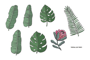 Tropical Leaf Prints