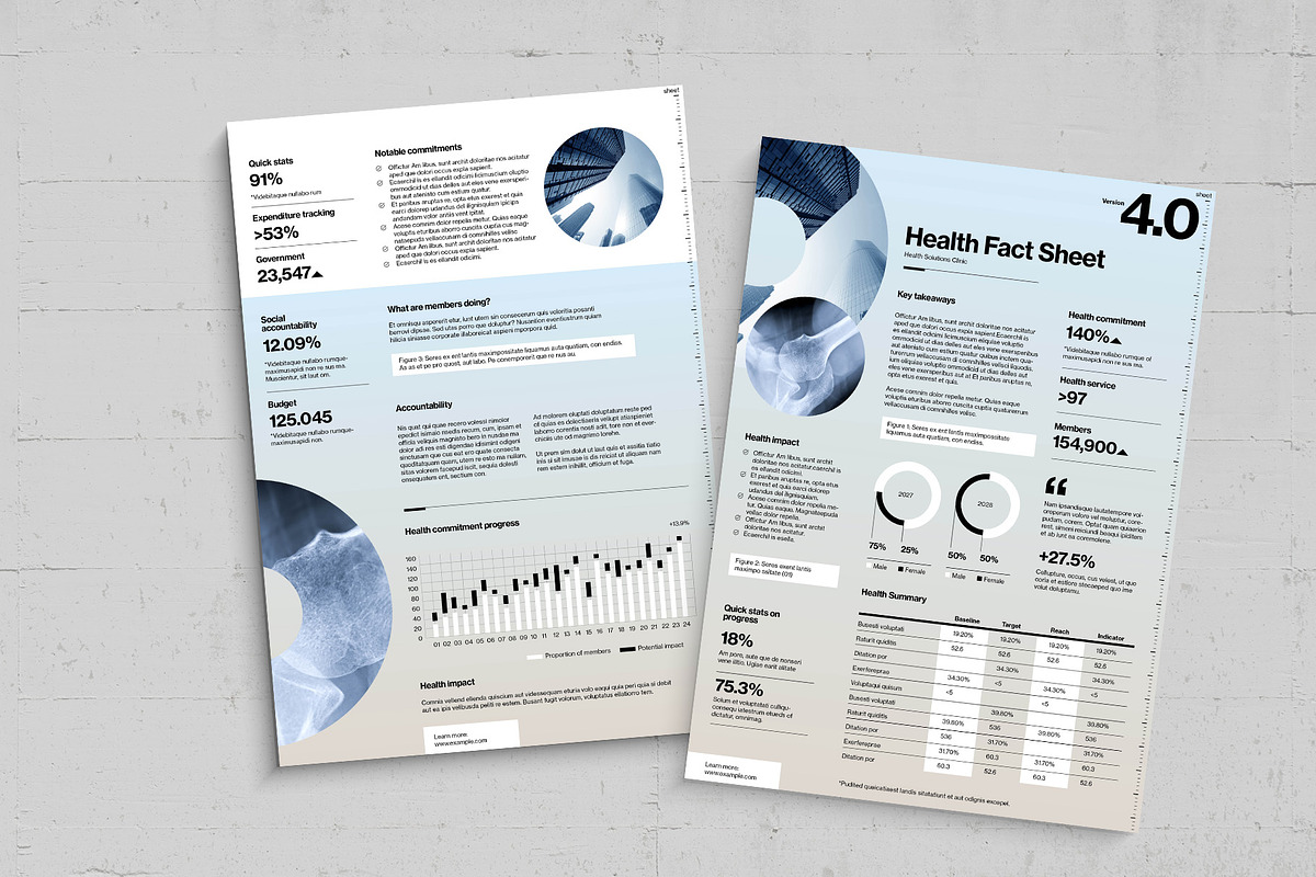 Factsheet Template, a Flyer Template by BrandPacks