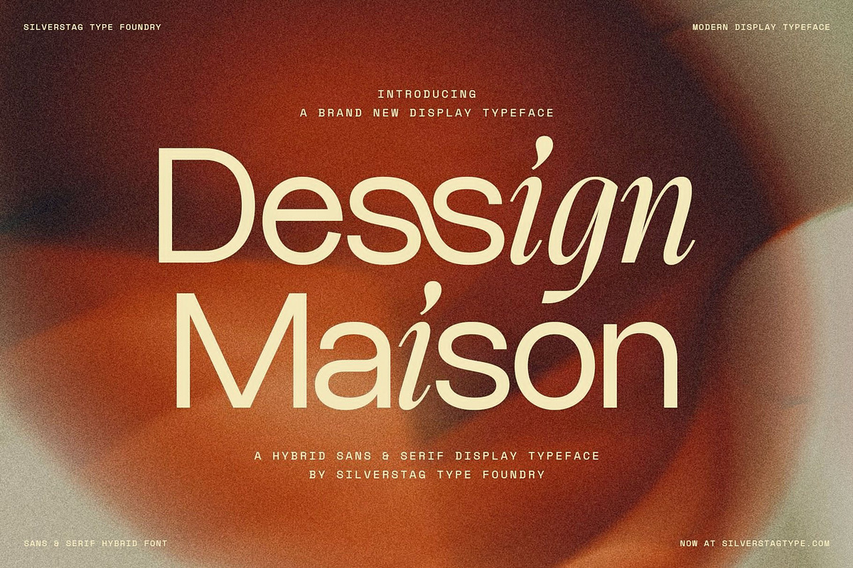 Dessign Maison - Hybrid Display Font, a Serif Font by SilverStag Type Foundry (Photo 1 of 18)