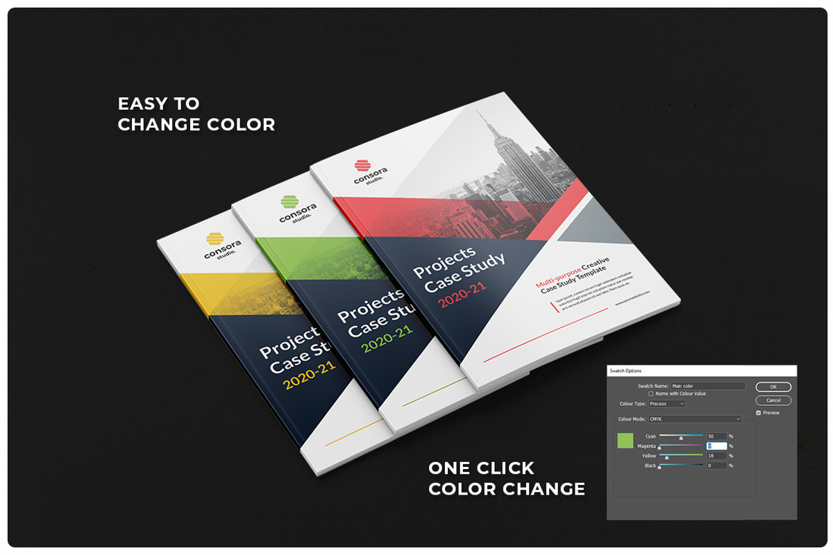Case Study Brochure, a Brochure Template by StudioGraficso (Photo 10 of 10)