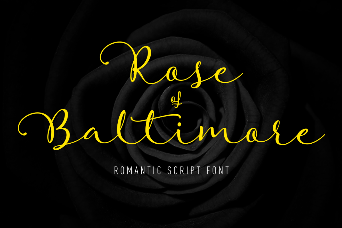 Rose of Baltimore - SALE - 70% OFF!