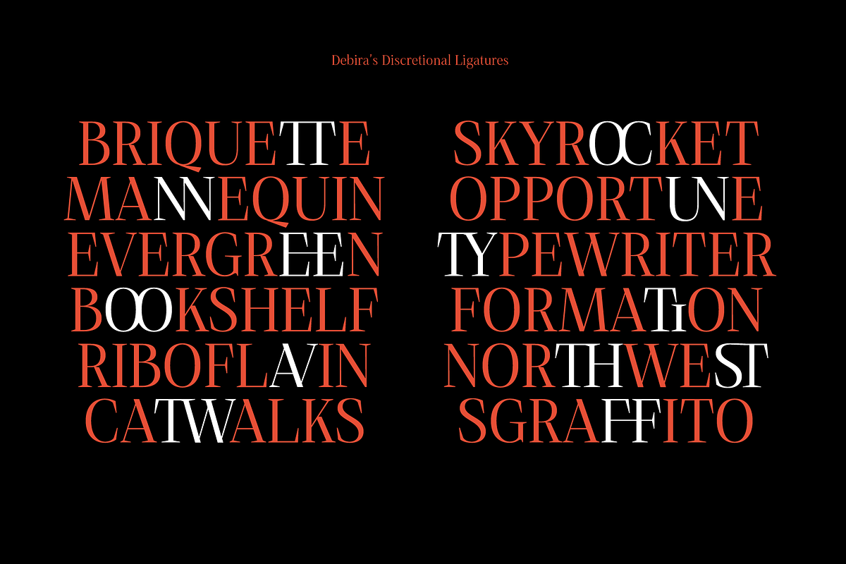 Debira — 14 Fonts, a Serif Font by Nasir Udin (Photo 12 of 12)