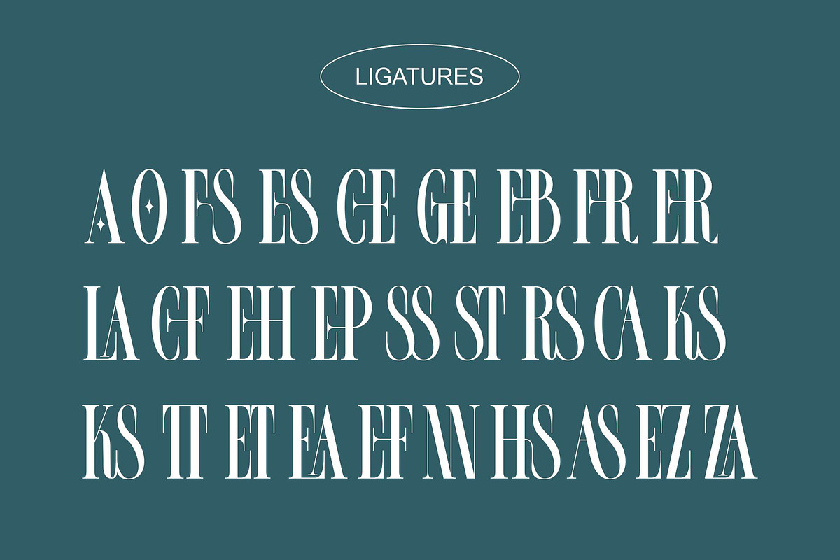 FROLES Modern Serif Font, a Serif Font by Alfinart (Photo 8 of 9)