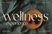 FRENCH CHATEAUX - Chic Display Font, a Sans Serif Font by SilverStag Type Foundry (Thumbnail 16 of 22)
