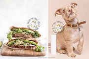 Vegan Cruelty Free Animals Stickers, an Object Graphic by Catherine Wheel (Thumbnail 2 of 12)