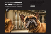 Frenchman - WP dog breeder kit, a Templates & Theme by Oooh Boi (Thumbnail 3 of 12)