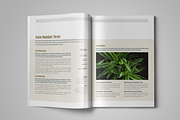 Case Study, a Templates & Theme by StockInDesign (Thumbnail 4 of 8)