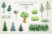 Woodland Animals Watercolor Clipart, an Animal Illustration by AnitaPol (Thumbnail 12 of 17)