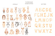 Watercolor Animal Alphabet, an Education Illustration by MayaNavits (Thumbnail 2 of 7)