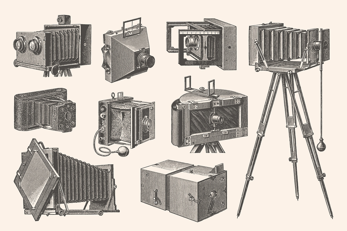 Photography - Vintage Illustrations, an Illustration by Graphic Goods (Photo 5 of 11)