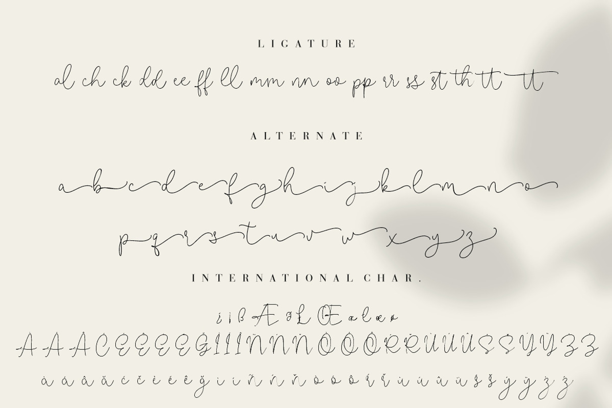 Rattiar Signature Script, a Script Font by Creatype Studio (Photo 9 of 9)