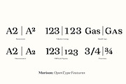 Morison Display & Serif, a Serif Font by Fenotype (Thumbnail 8 of 9)