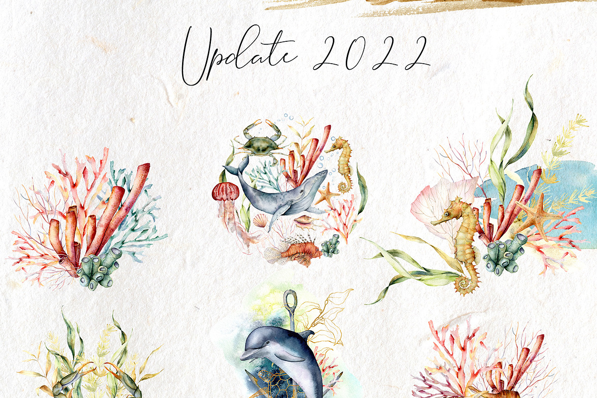 Ocean watercolor sea animal nautical, an Animal Illustration by Yuliya Derbisheva (Photo 3 of 11)