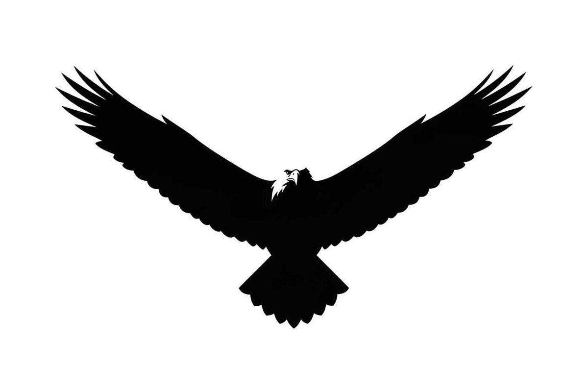 50 Flying Eagle Silhouette Vector Bu, an Illustration by Designs_River (Photo 7 of 51)