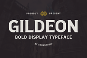 Gildeon - Bold Display Typeface, a Serif Font by Sronstudio (Thumbnail 1 of 12)