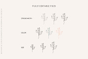 Botanical line art logo elements, a Branding & Logo Template by Katerina.Sea.Design (Thumbnail 10 of 11)