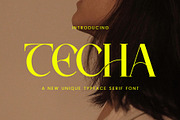 Techa - New Unique Typface, a Serif Font by AnnofaType (Thumbnail 1 of 8)