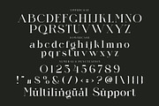 Qilbrid Modern Ligature Serif, a Serif Font by Alfinart (Thumbnail 9 of 10)