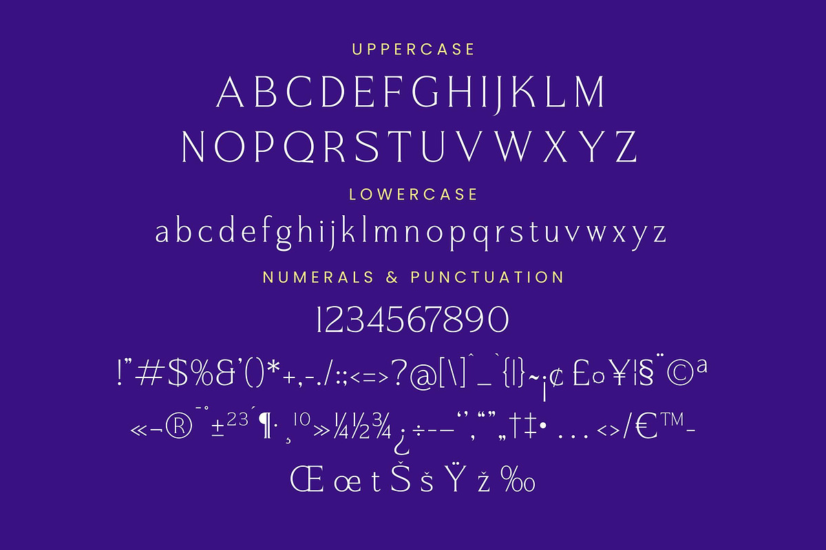 Argent Paradise Serif Oldstyle, a Serif Font by Letterena Studios (Photo 13 of 15)