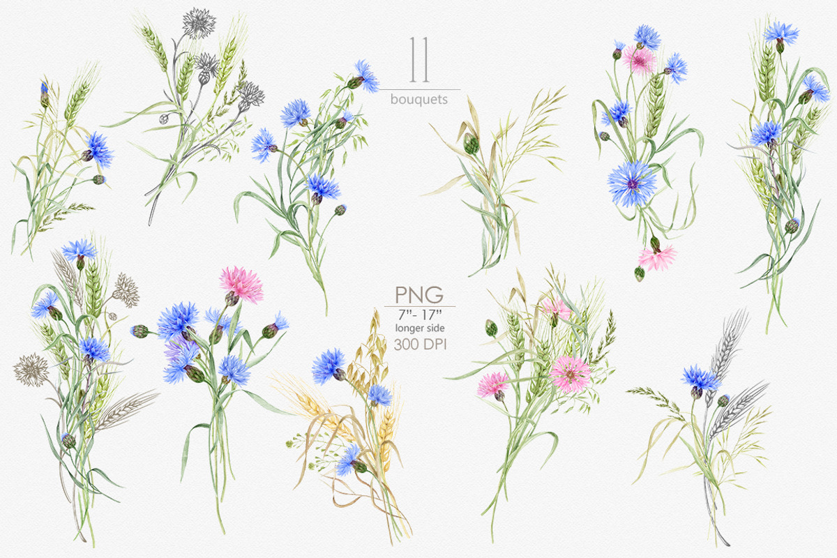 Knapweed and wildflowers collection, an Illustration by ReachDreams (Photo 5 of 12)