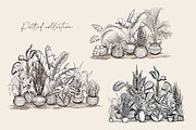 Tropical black& white plants, a Decorative Illustration by Jeanna Draw (Thumbnail 14 of 19)