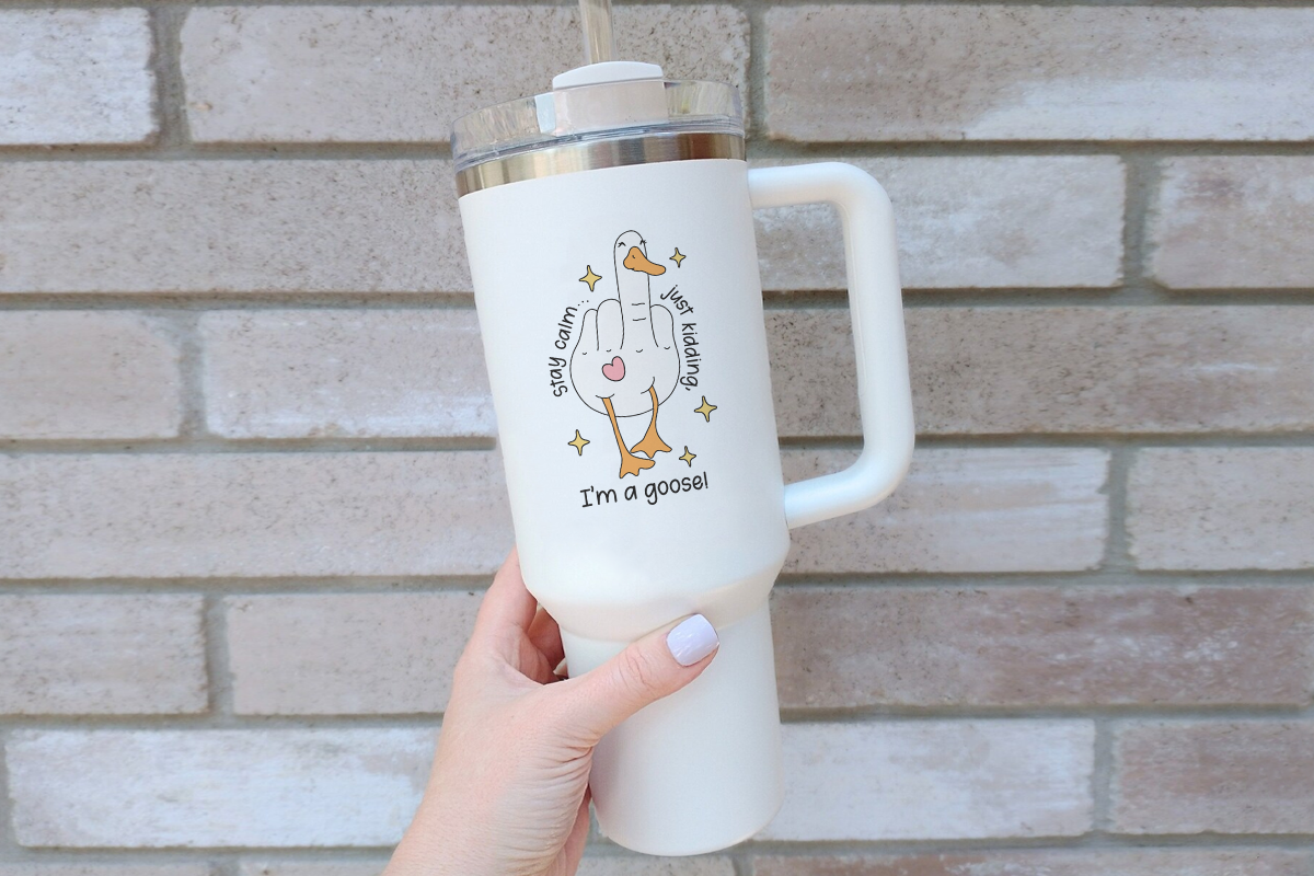 Retro Silly Goose PNG, an Animal Illustration by LemonDesign (Photo 12 of 13)