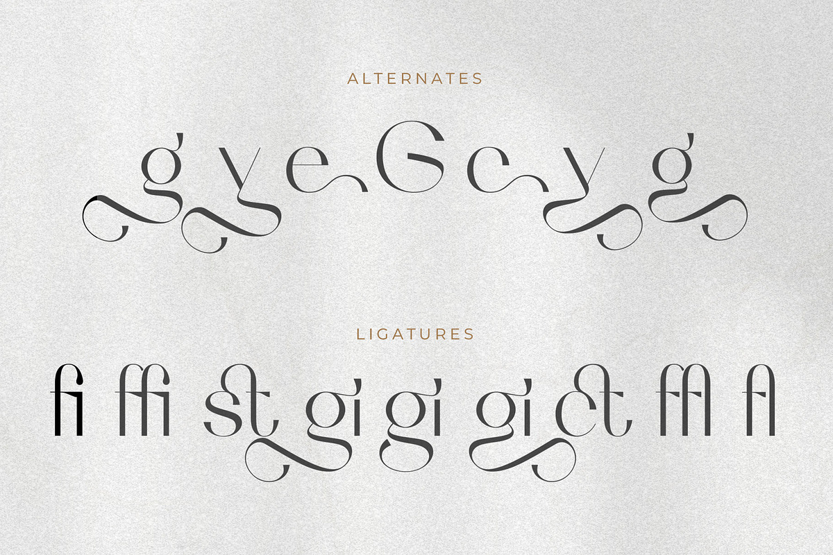 Wagiie – Serif Font with Free Mockup, a Serif Font by Nollev (Photo 7 of 16)