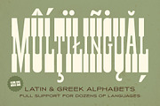Santa Rosa Vintage Font Duo, a Sans Serif Font by Molly Suber Thorpe (Thumbnail 7 of 15)