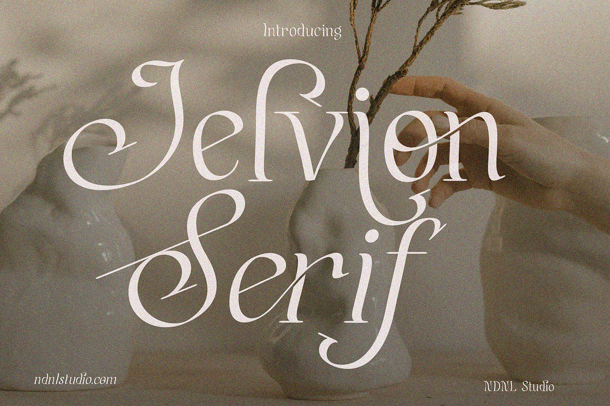 Jelvion – Serif Font, a Serif Font by NDNL Studio (Photo 12 of 12)