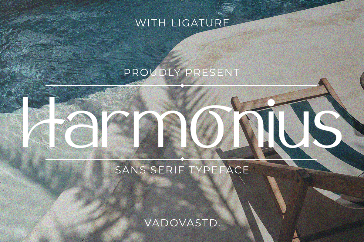 Harmonius Sans Serif Typeface Font, a Sans Serif Font by Vadovastd (Photo 9 of 9)