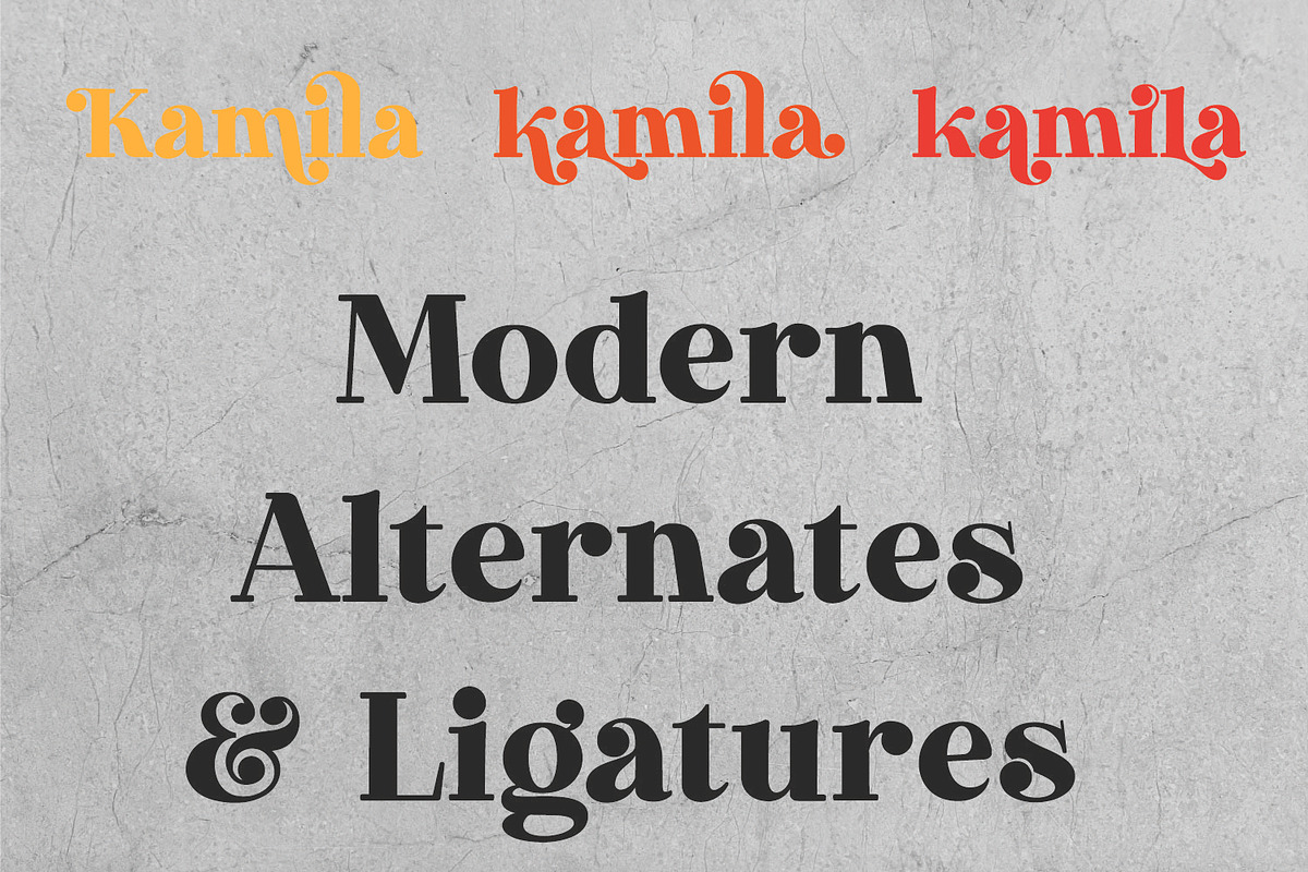 Kamila | Modern Slab Serif Font, a Slab Serif Font by MchCrafter (Photo 6 of 11)