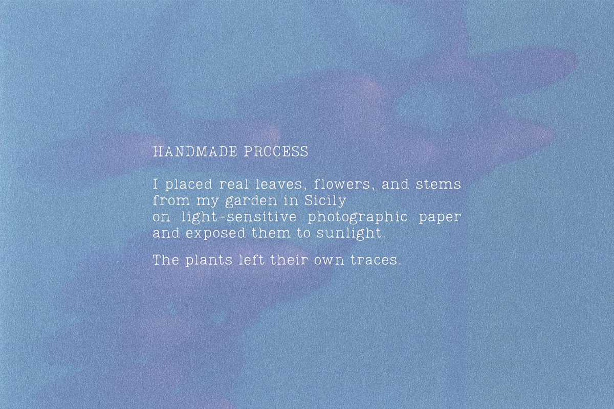 Lumen Traces: Handmade Prints, a Background Graphic by Anastasiia VNSK (Photo 2 of 16)