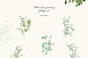 Watercolor Greenery - Foliage Set, a Decorative Illustration by Yuliia Lashevska (Thumbnail 3 of 11)