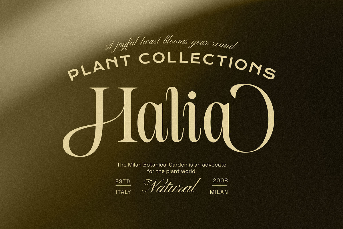Moncheur Havens | Stylish Serif Font, a Serif Font by Jolicia Type (Photo 2 of 10)