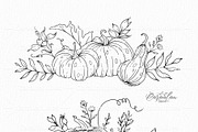 Hand Drawn Pumpkin SVG arrangements, an Object Graphic by CaraulanStore (Thumbnail 6 of 8)
