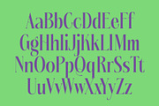 Kushers Modern Serif Display Font, a Serif Font by timelesstype.co (Thumbnail 16 of 20)