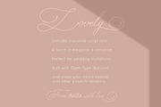 Lovely Monoline Script Font, a Script Font by Anna Zakharchenko (Thumbnail 10 of 10)