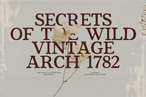 Bramwell - Vintage Serif, a Handwritten Font by Prapti Design