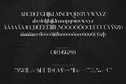 Silver Queen - Serif Typeface, a Serif Font by VP Fonts (Thumbnail 10 of 12)