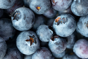 Macro ripe blueberry