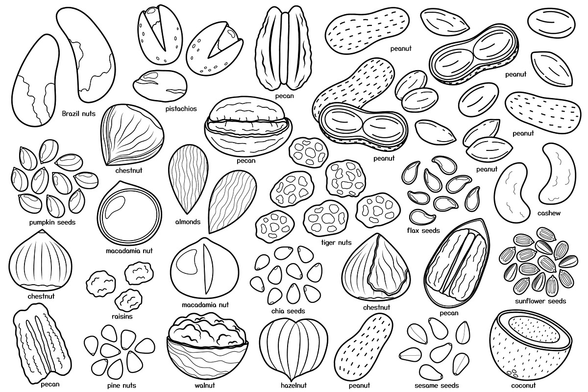 Fruits and Vegetables Clipart Bundle, an Object Graphic by Gulnara Sabirova (Photo 24 of 35)