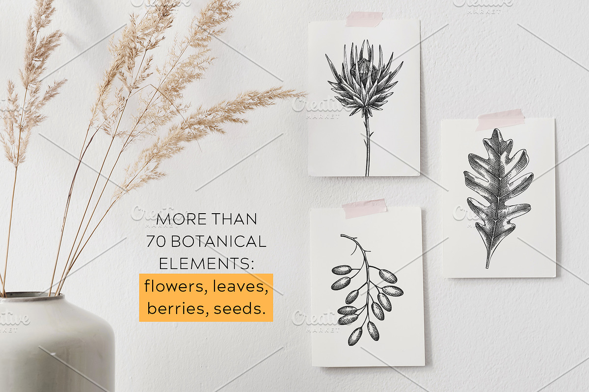 Autumn Leaves & Flowers. Fall Bundle, an Object Graphic by Yevheniia (Photo 2 of 11)