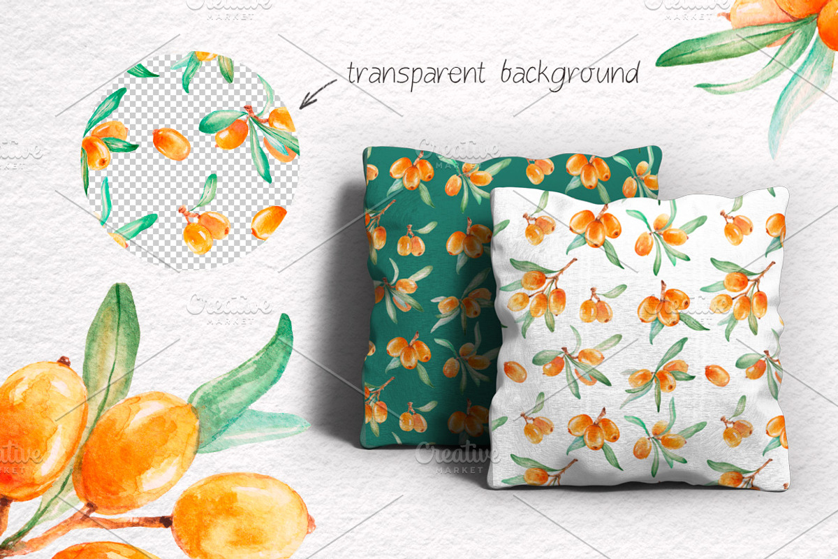 Sea-buckthorn, watercolor collection, an Illustration by Mallinka (Photo 9 of 11)