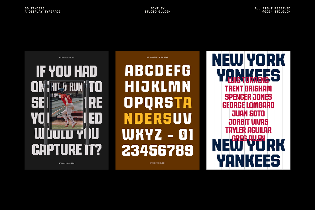 SG Tanders Superfamily - 72 Fonts, a Sans Serif Font by Studio Gulden (Photo 17 of 23)