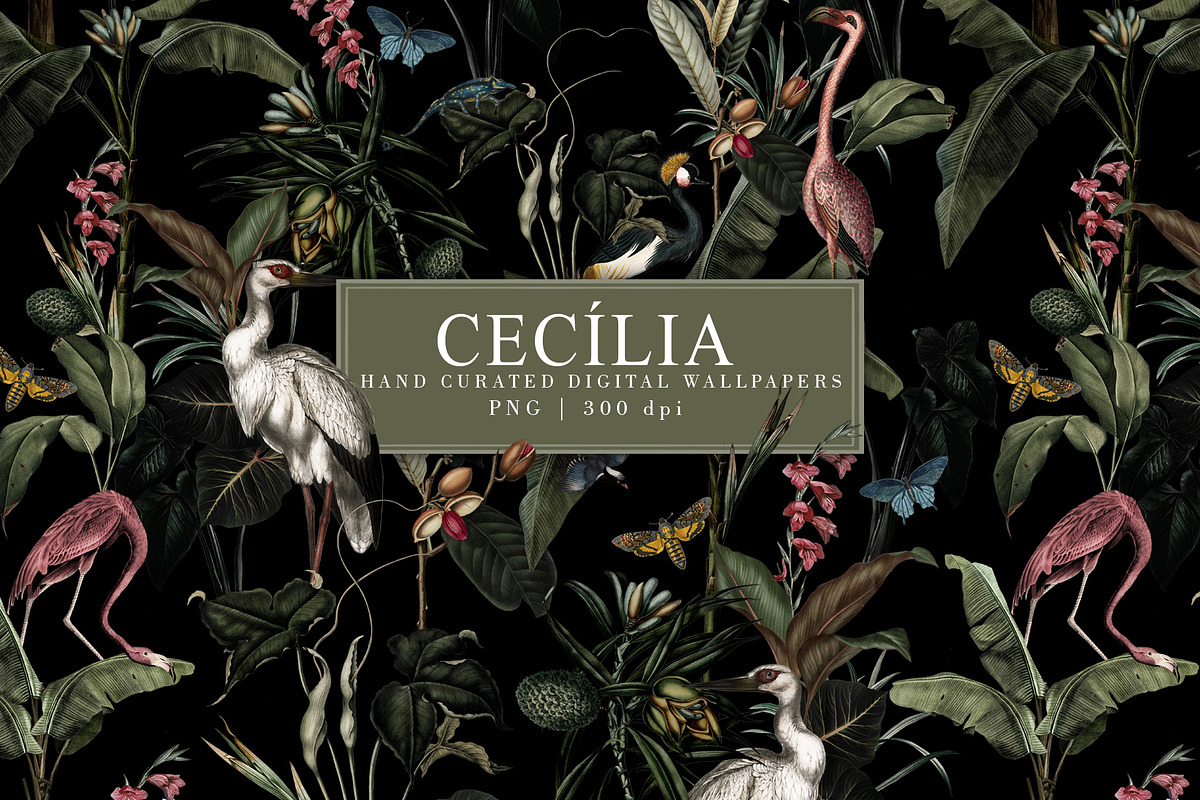 Cecília Pattern Crimson Cherry, a Wallpaper Graphic by Luiz da Rolt Grathwohl (Photo 1 of 9)