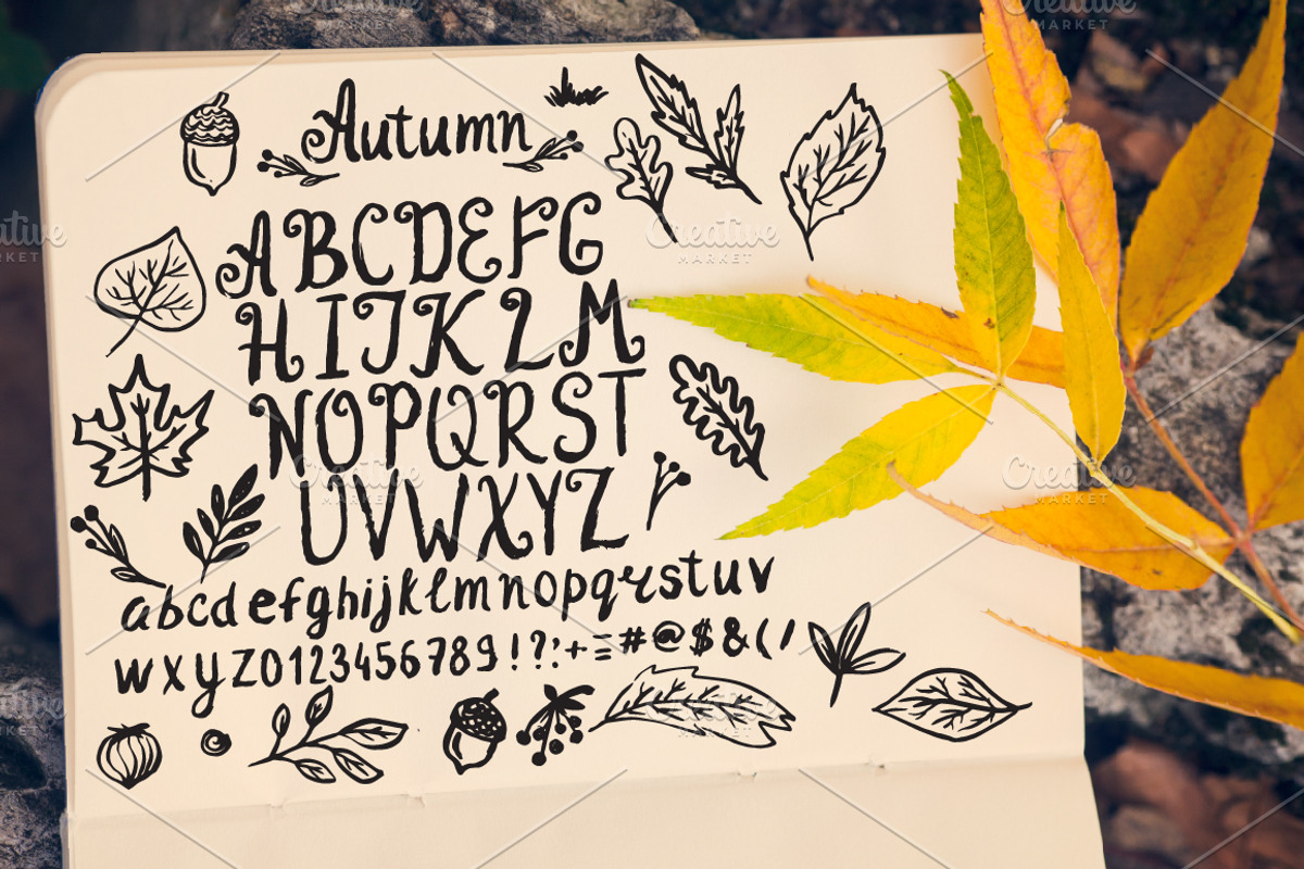Autumn set preview 2
